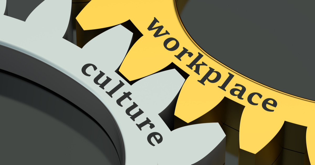 How a Workplace Culture Consultant Can Help Build a More Connected Organisation